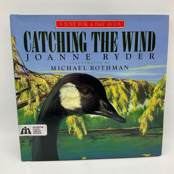 Catching The Wind (hardcover)