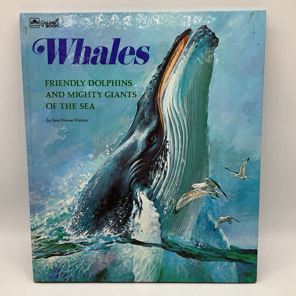 Whales Friendly Dolphins and Mighty Giants of the Sea (hardcover)