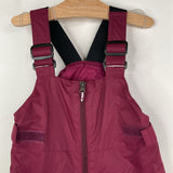 Size 4-5: Columbia Purple Snow Bib