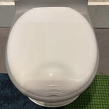 Nuby My Real Potty Training Chair w/Flushing Sound