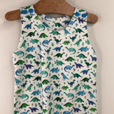 Size 3-6m: Sofia White/Green/Blue Dino Tank Romper