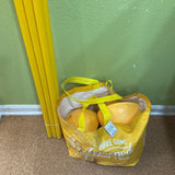 Soccer Agility Training Equipment: 6 Soccer Agility Poles, 20ft Agility Ladder,10 Cones REDUCED