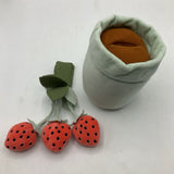Pillowfort Strawberry Planter
