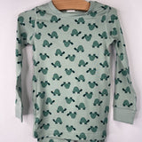 Size 4 (100): Hanna Andersson Green Turtle Print 2pc PJs NEW w/ Tag