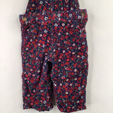 Size 6m: OshKosh Floral Corduroy Overalls