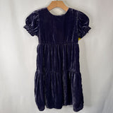 Size 8: Crewcuts Purple Velour Short Sleeve Dress