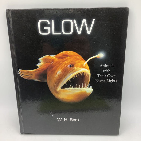 Glow See The Dark In A Whole New Light (hardcover)